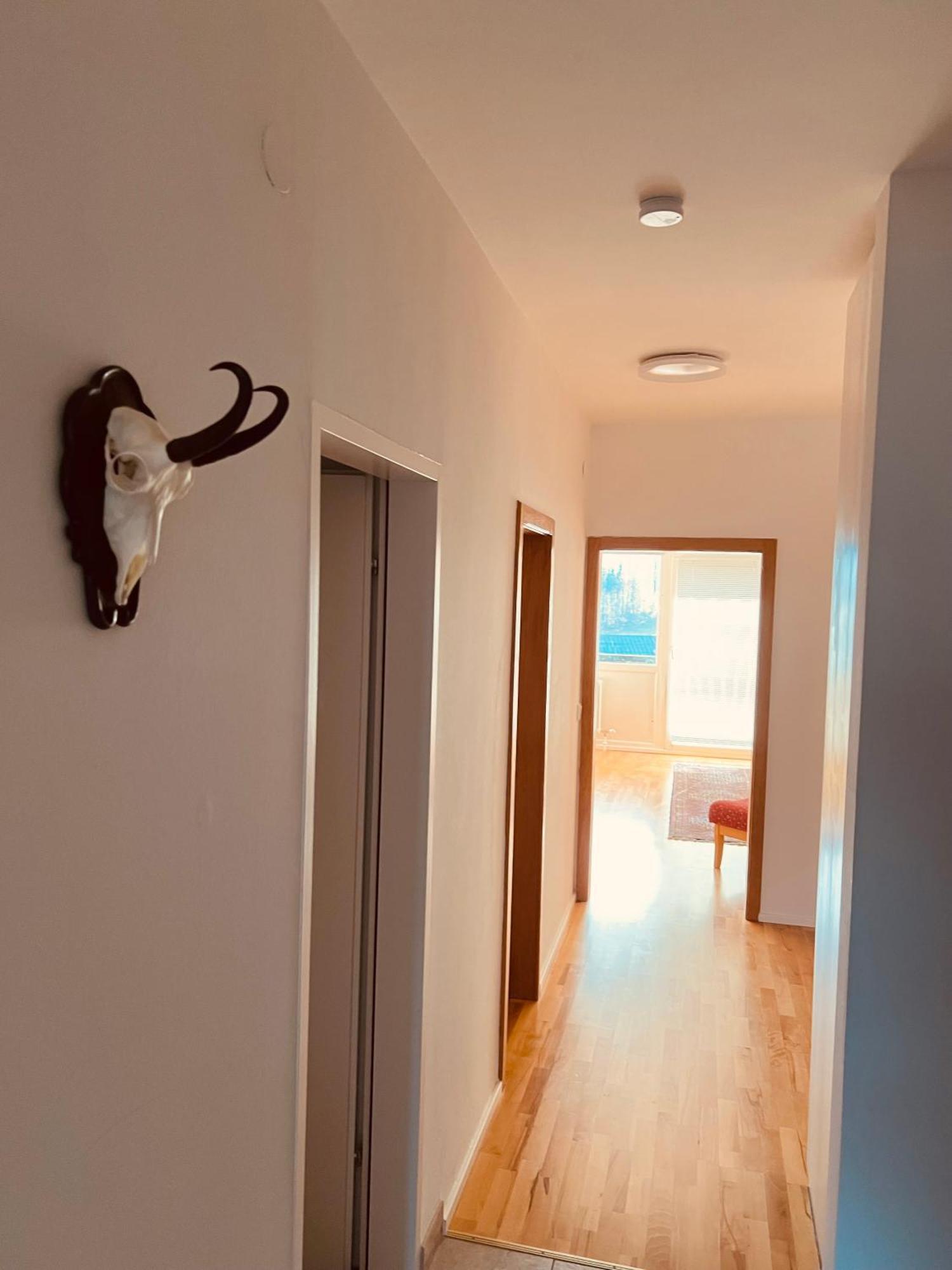 Gamsblick Apartment *